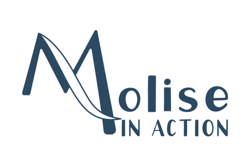 moli-action